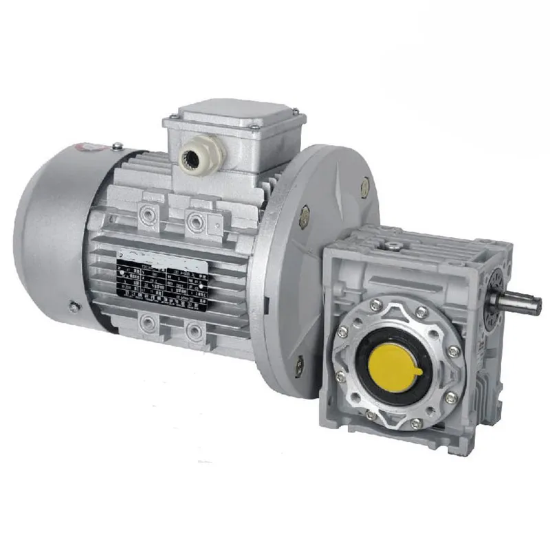 CMN-NMRV-VS Worm Gear Reducer with Motor