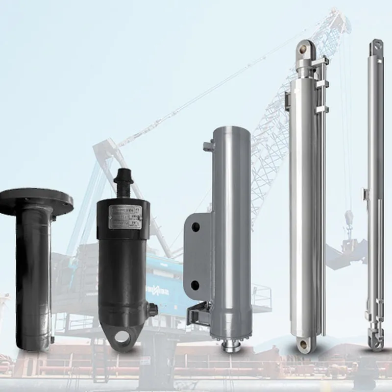 Hydraulic Cylinder for Crane