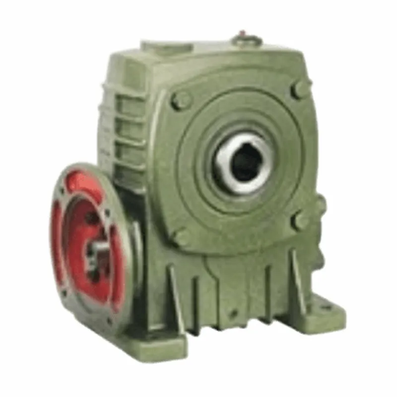 WPDKA Worm Gear Reducer