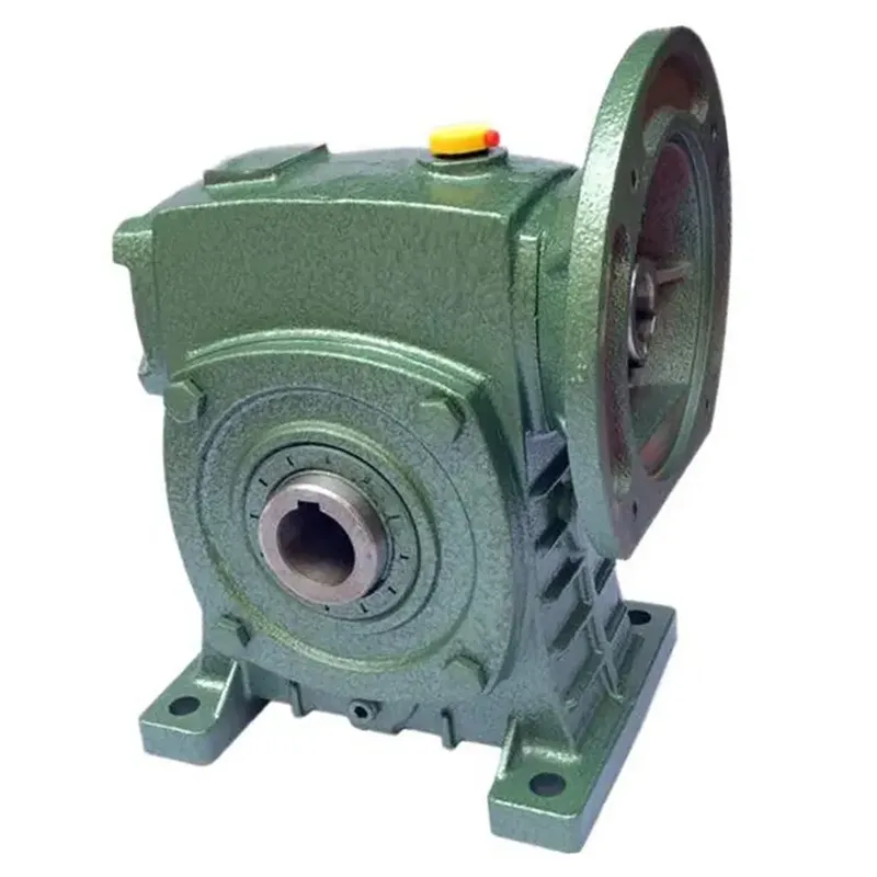 WPDKS Worm Gearbox