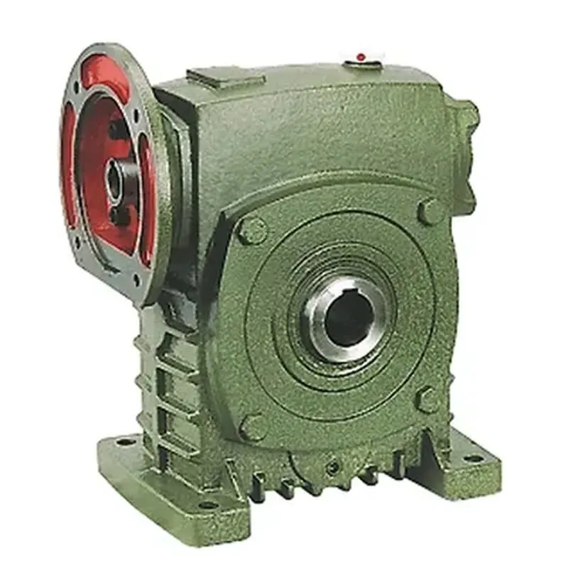 WPDKS Worm Reducer Gearbox
