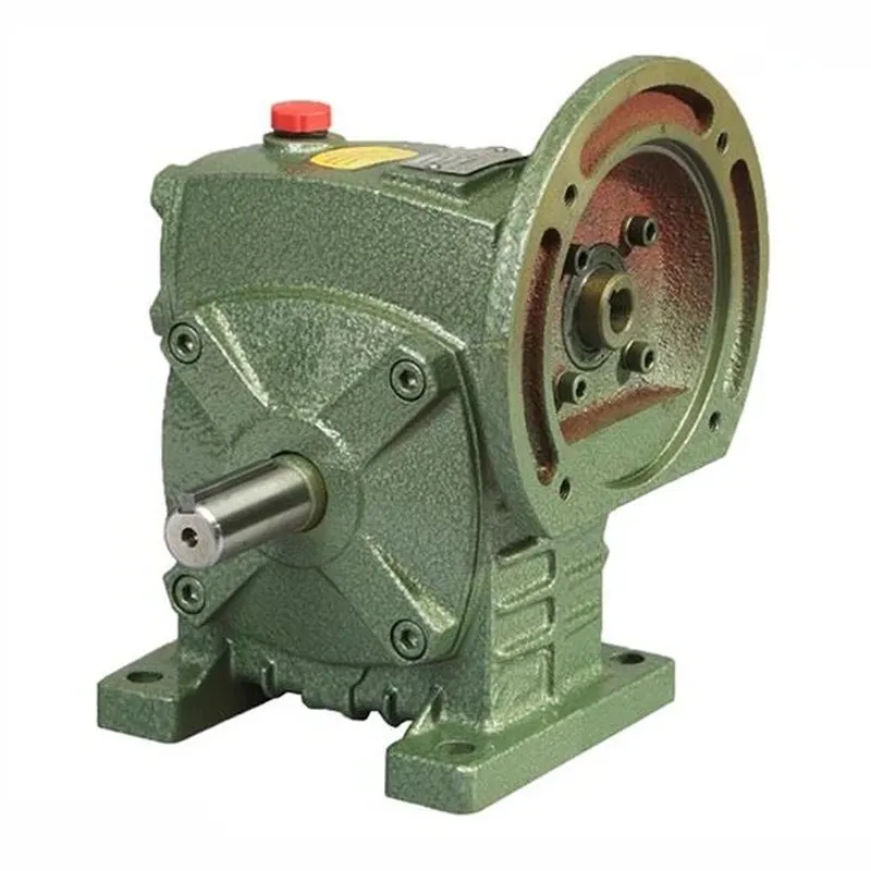 WPDS Worm Gear Speed Reducer