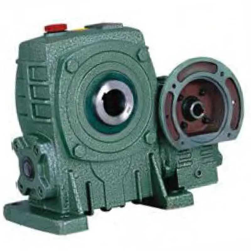 WPEDKA Worm Gear Reducer