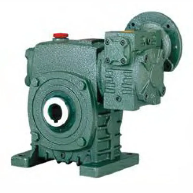 WPEDKS Worm Gear Speed Reducer