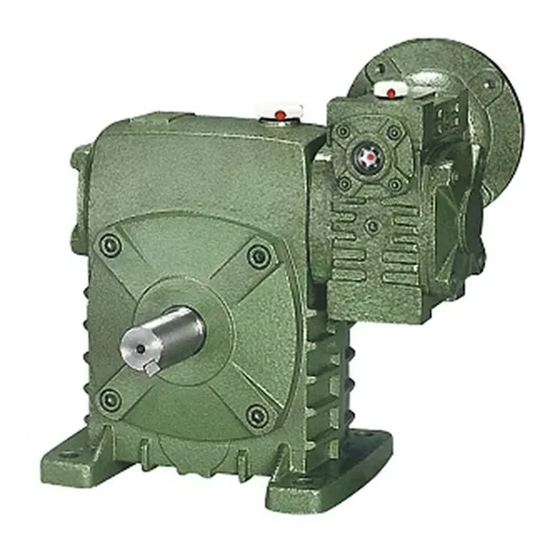 WPEDS Worm Gear Reducer