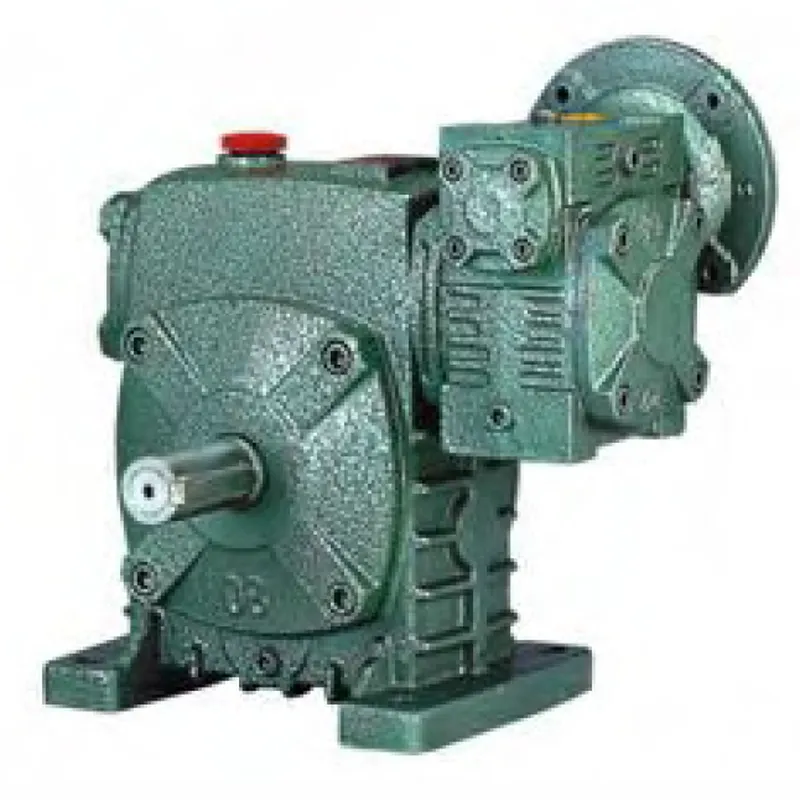 WPEDS Worm Gearbox