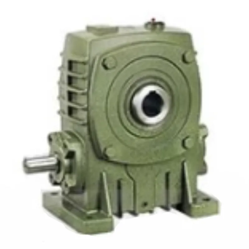 WPKA Worm Gear Reducer