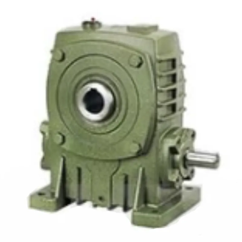 WPKA Worm Gear Reducer
