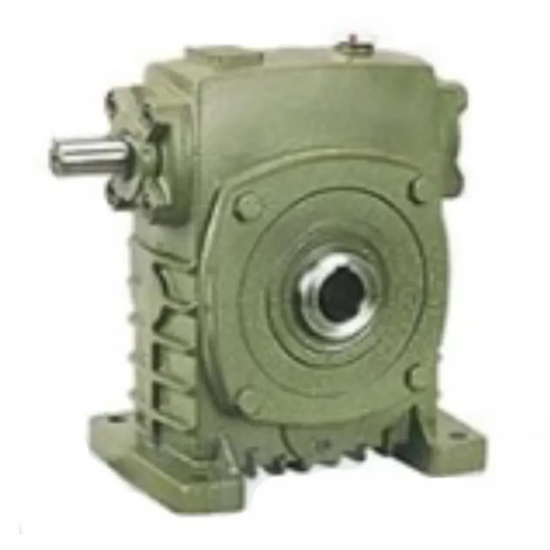 WPKS Worm Gear Reducer