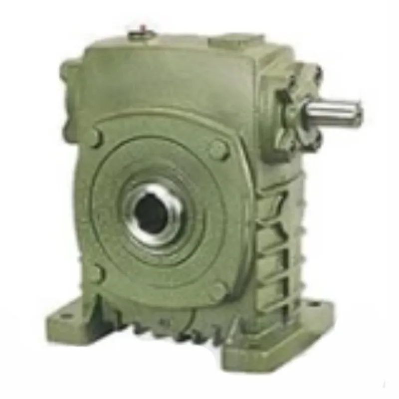 WPKS Worm Gear Speed Reducer