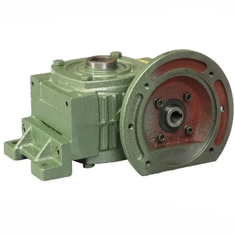 WPWDKO Worm Gear Reducer