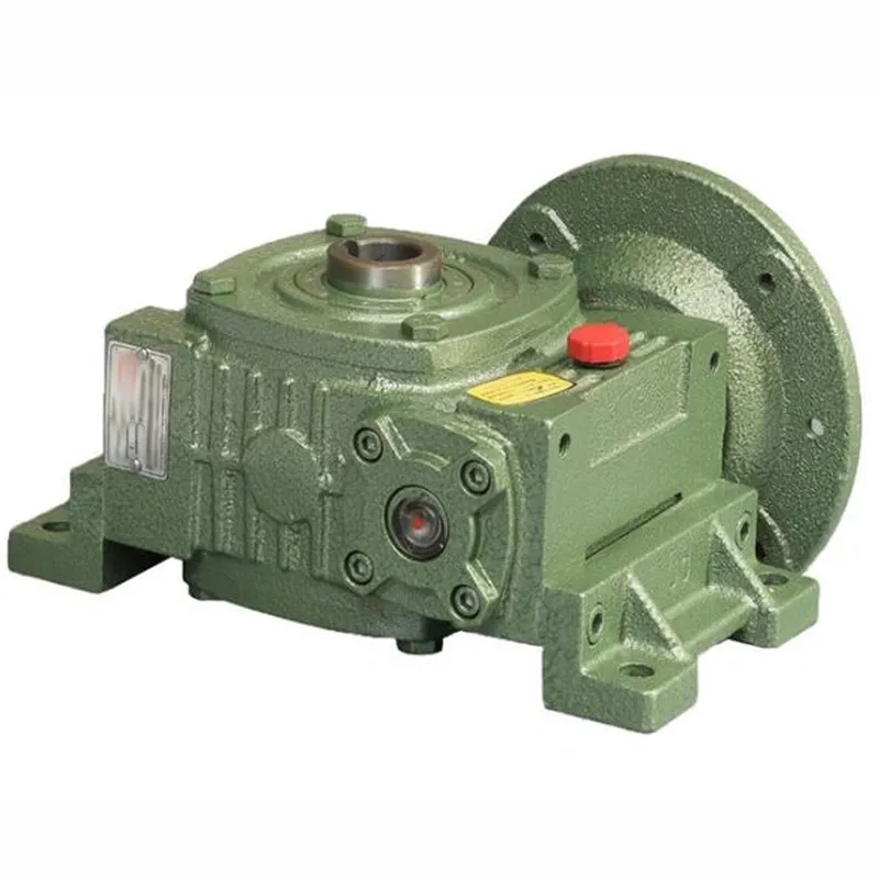 WPWDKO Worm Gear Reducer