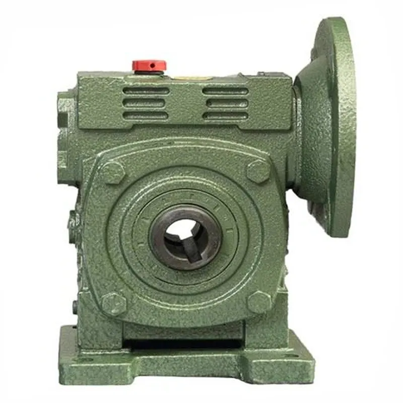 WPWDKS Worm Gear Reducer