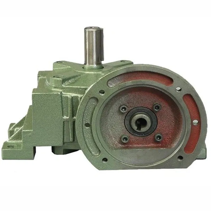 WPWDO Worm Gear Reducer