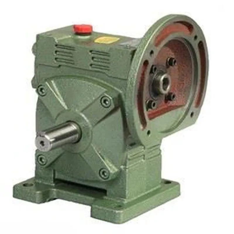 WPWDS Worm Gear Reducer