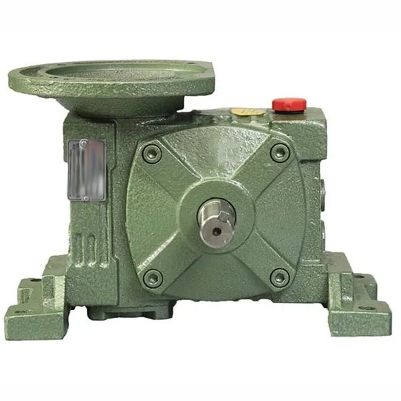 WPWDT Worm Gear Speed Reducer