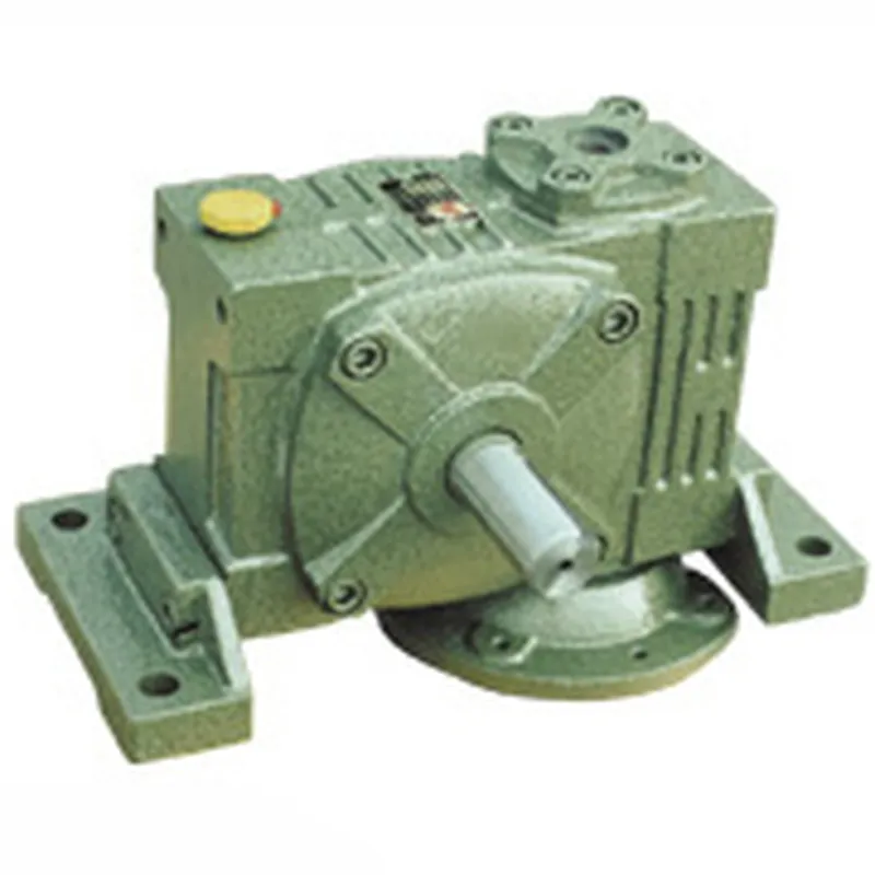 WPWDV Worm Gear Reducer