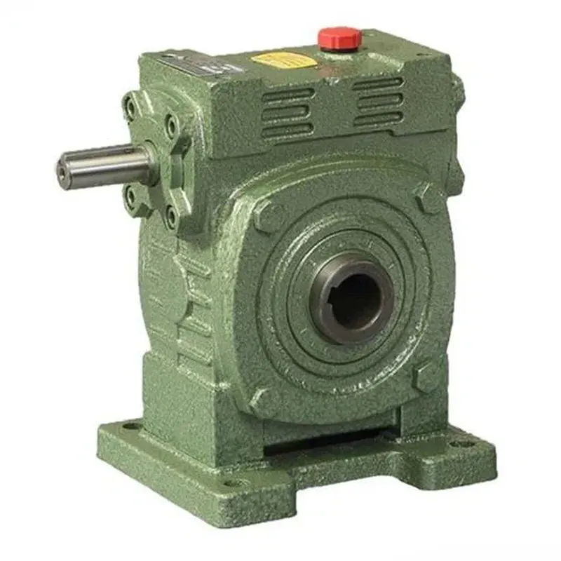WPWK Worm Gear Reducer
