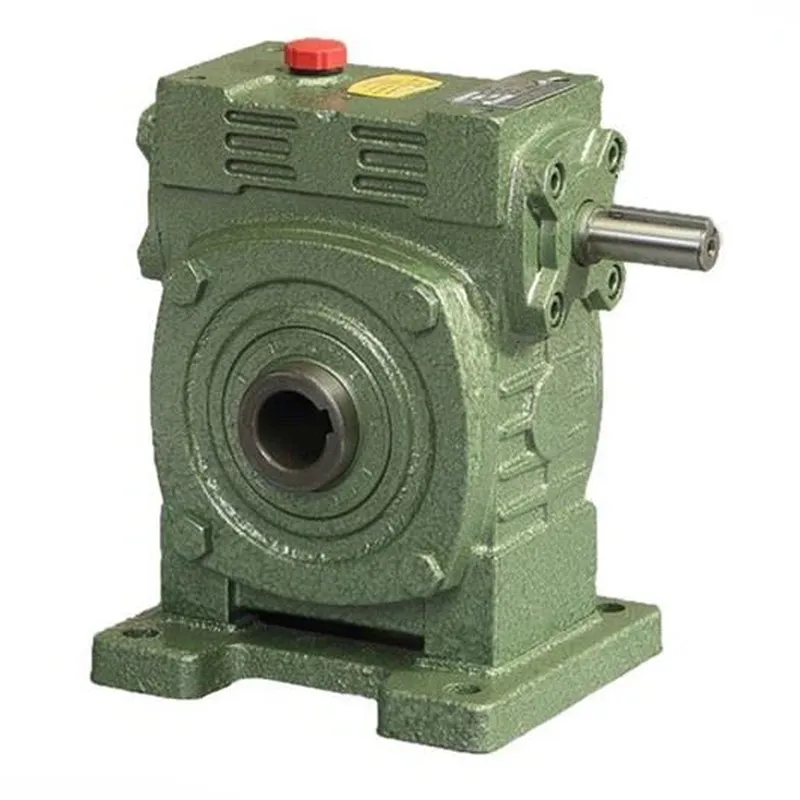 WPWK Worm Gear Reducer