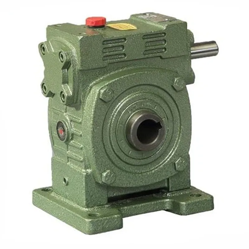 WPWKS Worm Gear Reducer