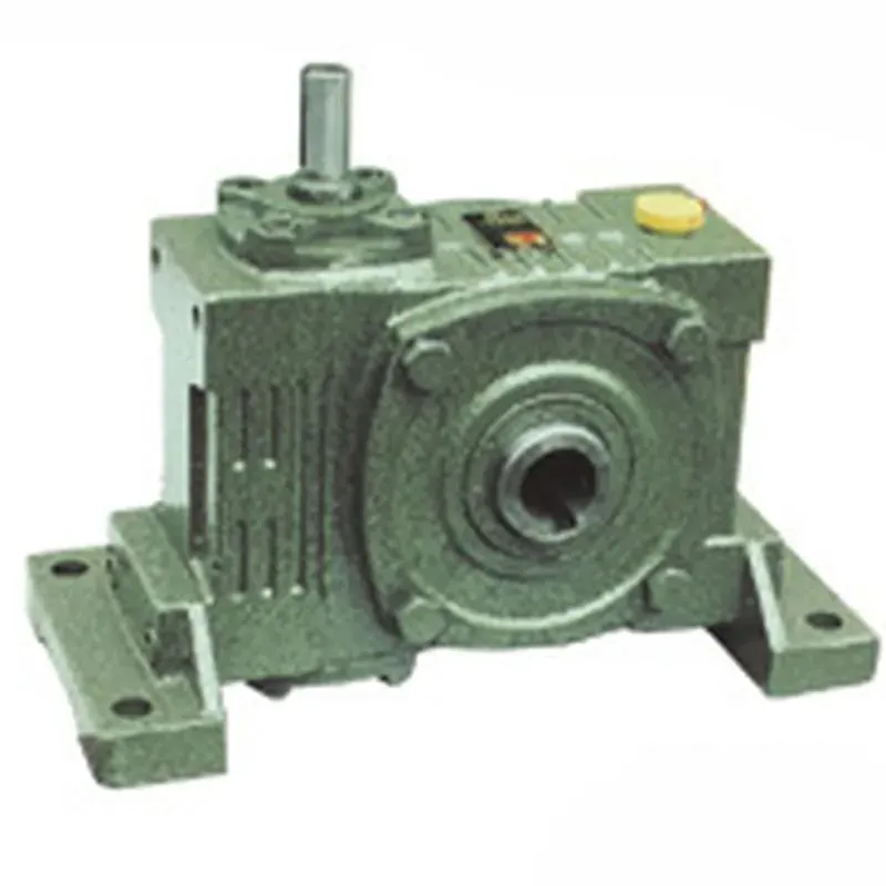 WPWKT Worm Gear Reducer