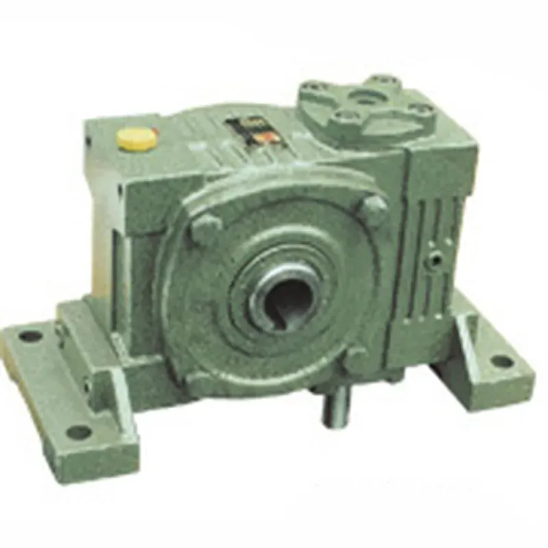 WPWKV Worm Gear Reducer