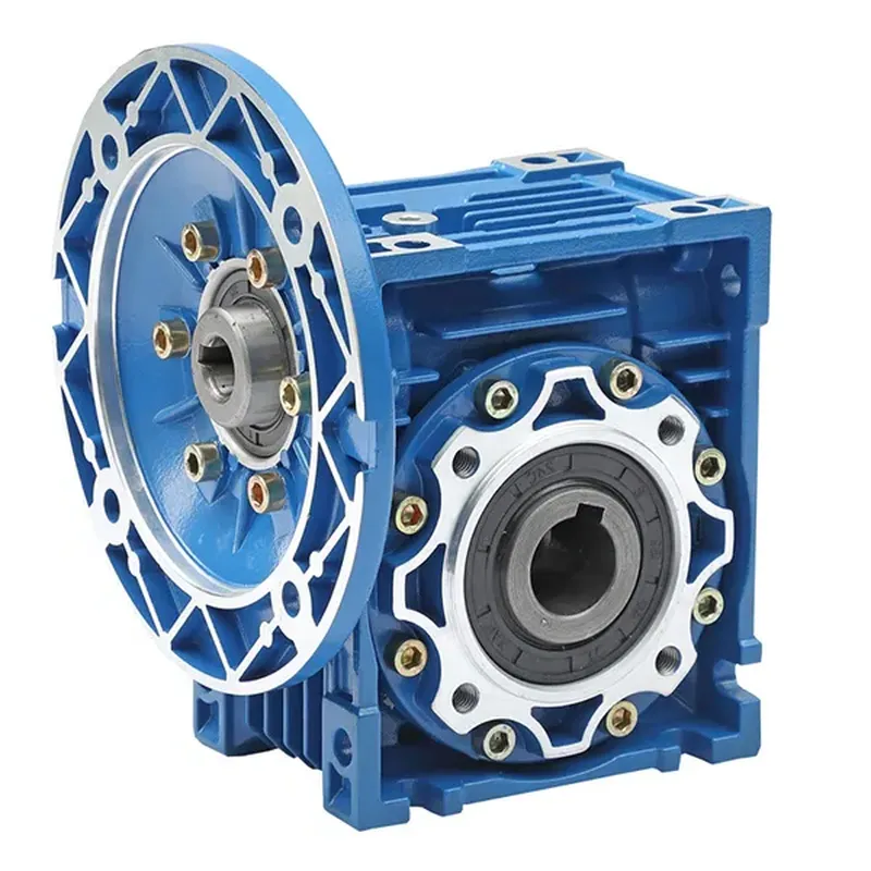 Worm Gear Reducer