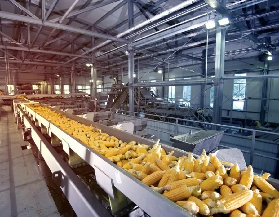 Worm Gearbox for Food Conveyor Systems Worm Gearbox for Food Conveyor Systems