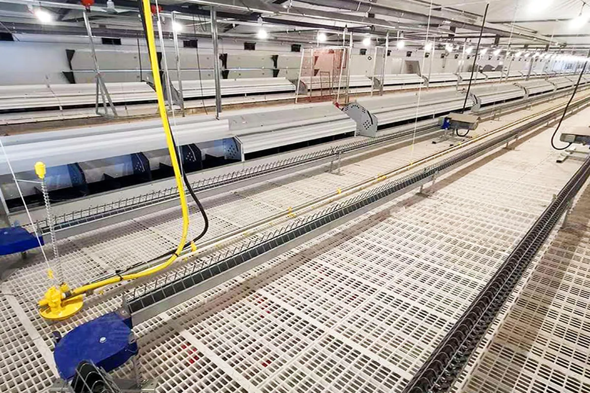 Feed Conveyor Chain for Feed Processing Plant