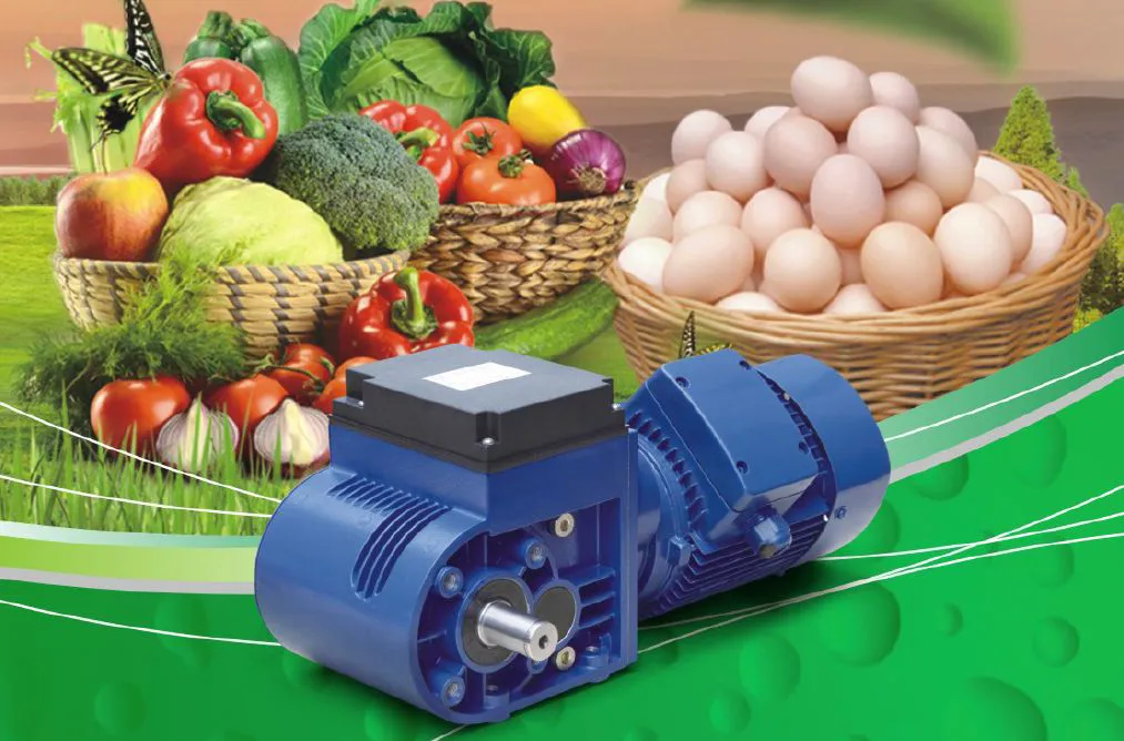 Otomatik Güneşlik Sistemi için Sera Dişli Motoru