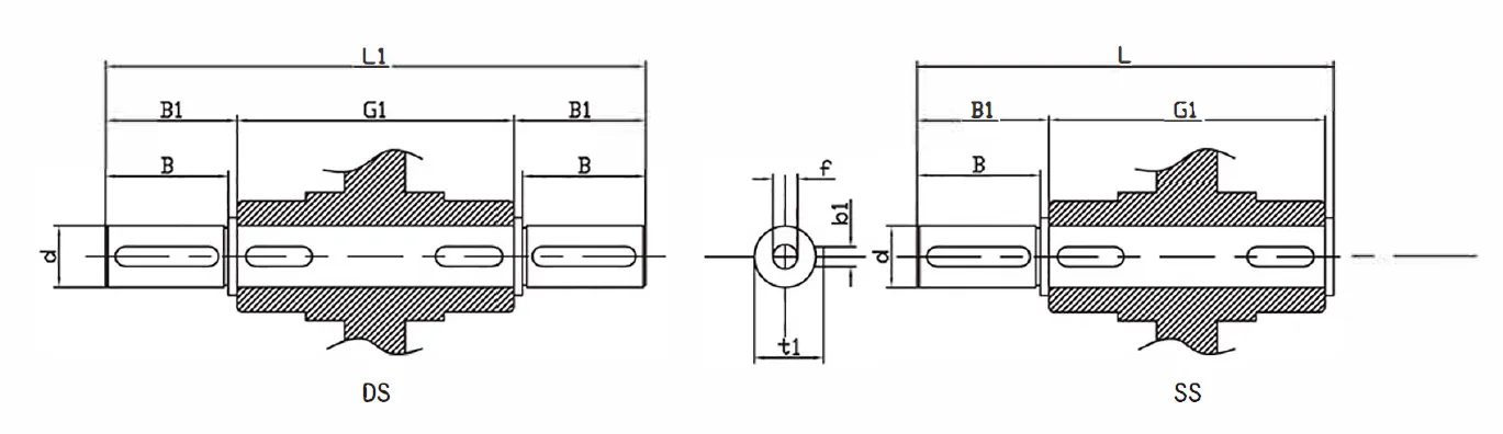 SSVF Stainless Steel Worm Gearbox Output Shaft Dimensions