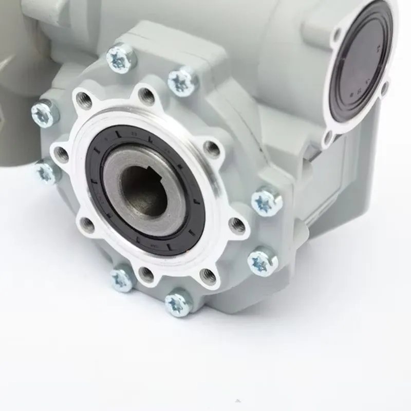 Caja de engranajes de tornillo sin fin VF49