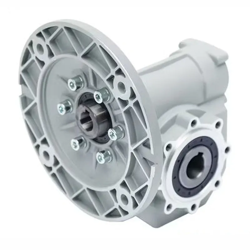 VF49 Worm Gear Reducer