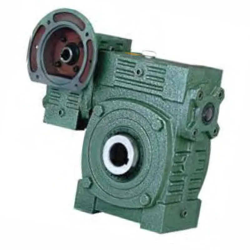 WPWEDK Worm Gear Reducer