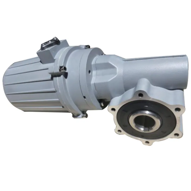 XRV050 Worm Gear Reducer