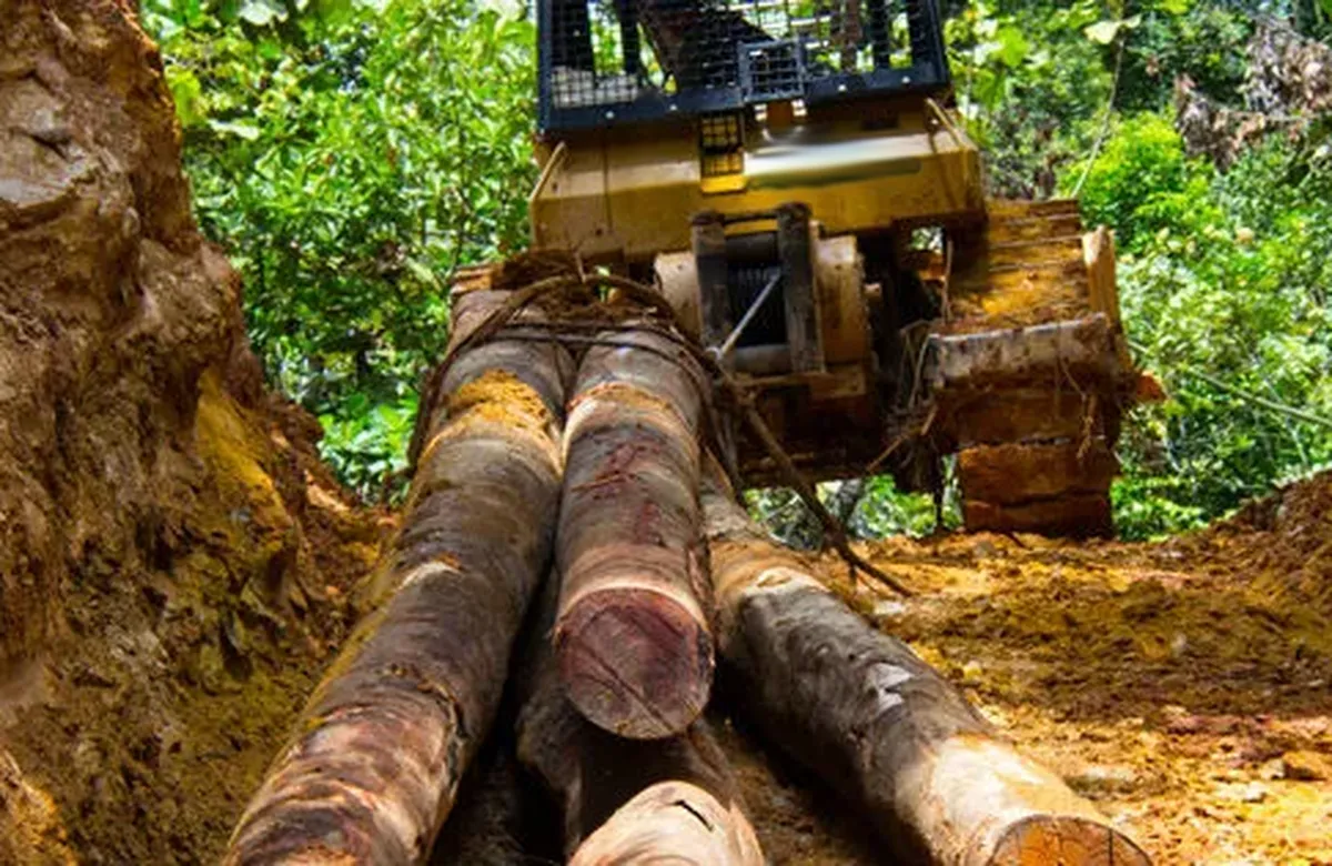 Planetary Winch Drive for Forestry and Logging Industry