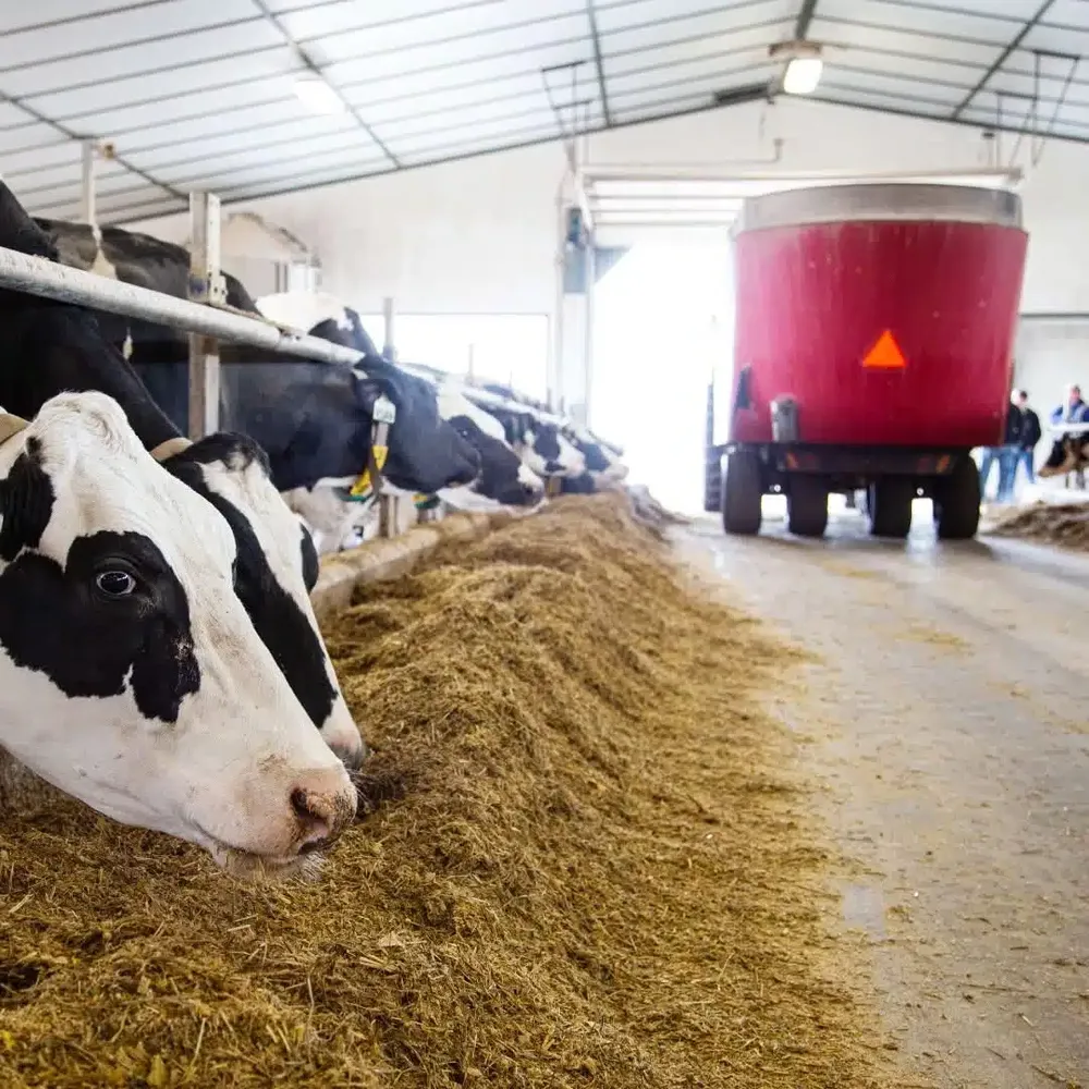 PTO Shaft for Jaylor Single Auger TMR Mixer